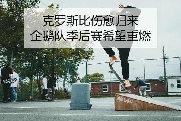 克罗斯比伤愈归来 企鹅队季后赛希望重燃